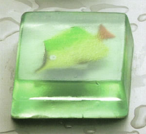 Bad-Seifen, Waschbecken,
 Badezimmer, Duschen, Waschbecken,
 Sanitär, Waschbecken,
 Badezimmer, Duschen, Waschbecken,
 Luxus Sanitär, Waschbecken,
 Accessoires, Waschbecken