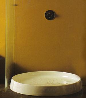 NIC Design Victoria Duschwannen